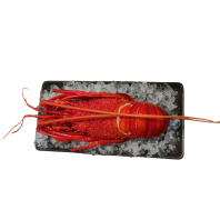 Cooked Western Rock Lobster Per Each 450-550g
